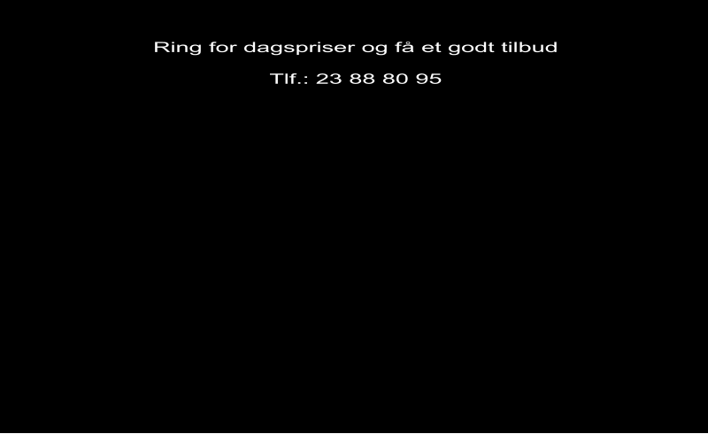 Ring for dagspriser og få et godt tilbud  Tlf.: 12 81 60 4386