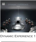 Dynamic Experience 1