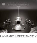 Dynamic Experience 2